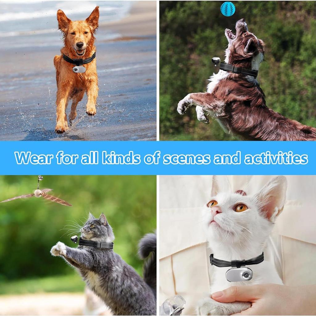 Ошейник с камерой для кошек и картой памяти 8 ГБ, беспроводная маленькая спортивная камера с возможностью записи видео 1080P высокой четкости