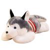 Husky Dog Body Pillow Cute Sweater Wearing Adorable Husky Dog Sweet Dreams Gift for Anniversary (70cm)
