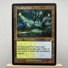 BETA NORMAL3-002 Прокси-карты для ККИ Магические карты Вампирский Репетитор Бассейн Размножения Место для Топтания Магический Знак Мокс Янтарный сбор