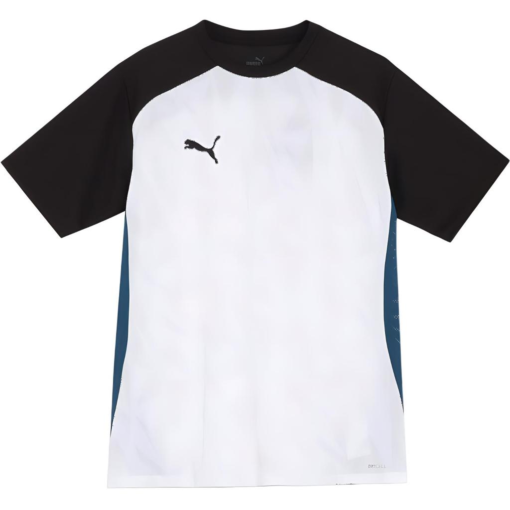Puma Color Block Training Crew Neck Soccer Shirt Men Tops White 659129-04