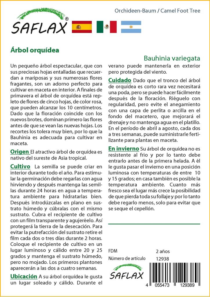 SAFLAX Дерево верблюжьей лапки - 8 семян - Bauhinia variegata