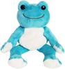 Nakajima Corporation Pickles the Frog, Rainbow Pickles, Bean Doll Plush Toy, Sora 107237-17