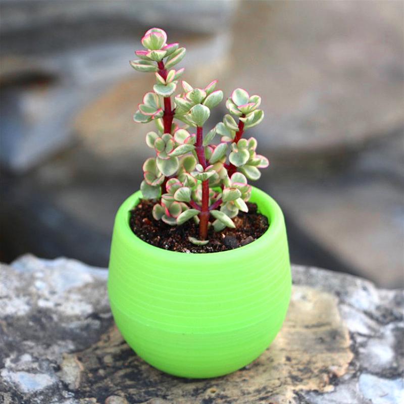 Mini Resin Stone Ball Flower Pot Multiple Colors Automatic Water Storage for Succulent Fleshy Potted Plants Home Garden Supplies