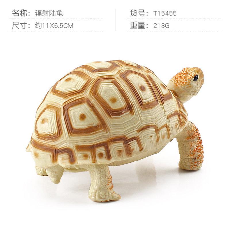 Simulation Amphibian Reptile Model Tortoise Tortoise Star Tortoise Static Decoration Cognitive Ornament Toy