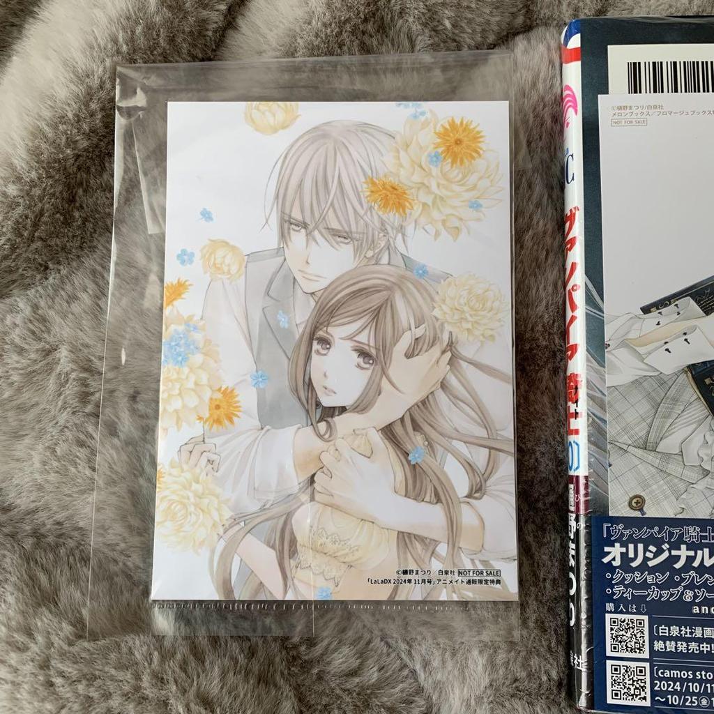 [USED] Vampire Knight Memories Volume 10 with Melon Books bonus illustration card