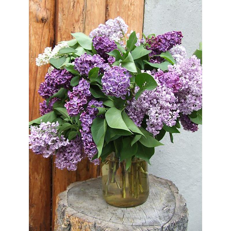 5D Diy алмазная живопись цветок набор для вышивки крестом полная дрель круглая вышивка мозаика Настенная картина из страз Декор подарок