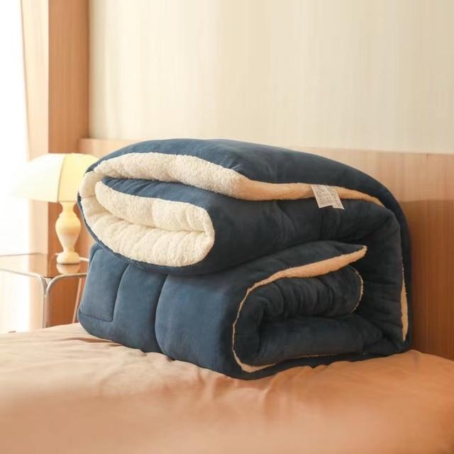 Twin Queen King Full Double Size Plush Velvet Quilted Winter Thick Warm Lamb Velvet Duvet Bedding In Filler