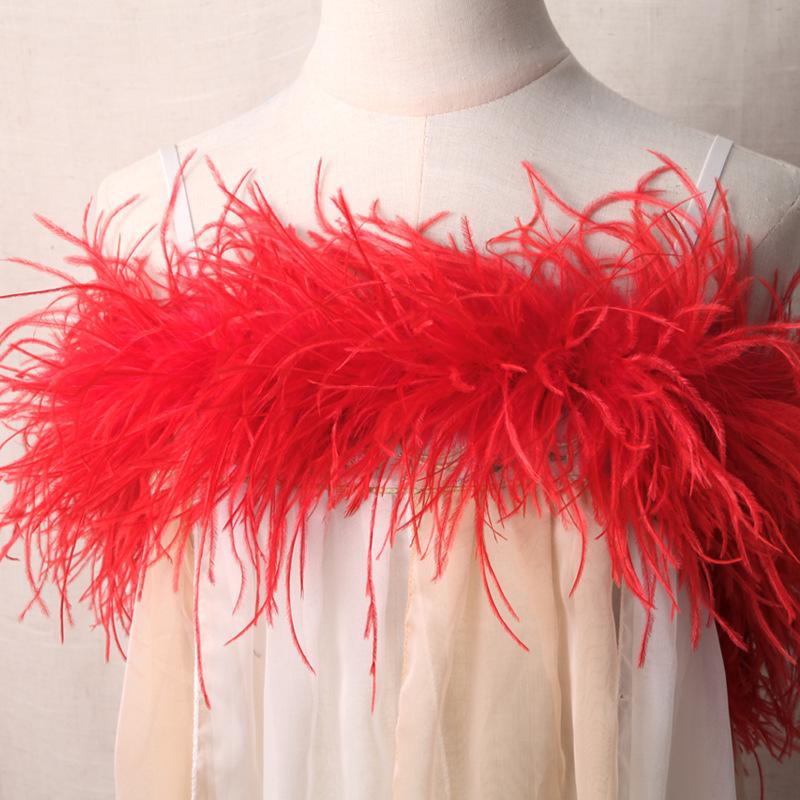 5-Layer Color Encrypted Bold Ostrich Feather Strip Latin Dance Dress Fashion Diy Handmade Clothing Accessories