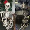 Halloween Skeleton Decors Full Body Faux Human Skeleton Decoration Props