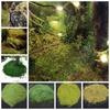 Miniature Moss Lichen Ground Vegetation Powder Sand Table Layout Scene Model Fine Grass Granule
