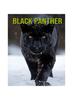 Книга Black Panther : Fun and Educational Book for Kids with Amazing Facts and Pictures