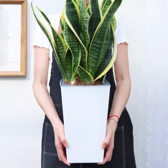 Самополивающийся цветочный горшок с дренажными отверстиями, автоматический полив, цветочный горшок, кашпо для хранения воды для комнатных и уличных растений