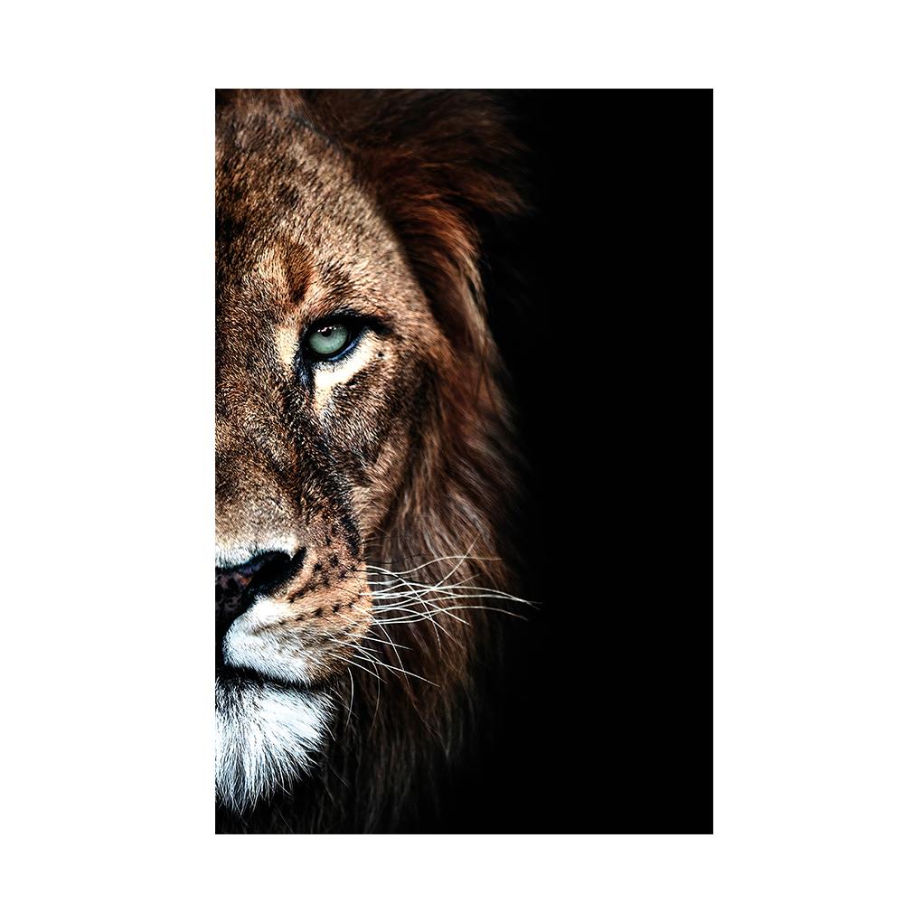 Африканский лев в темноте, настенные постеры и принты, животные, холст, картины, натюрморт, декор для дома