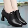 Fashion Women Comfort Soft Leather  Sole Pointed Toe Thick Heel Fashion Retro Casual Shoes Spring Elegant Dress Black Single Shoes
