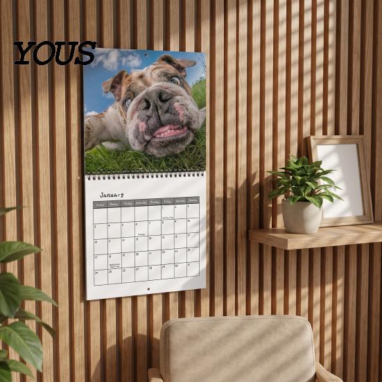 Ежемесячный планировщик 2027 года, Настенный календарь «Уродливые животные селфи», Забавная фермерская фотография для дома, Практичное украшение для семьи и офиса, 12 месяцев, Подвесной