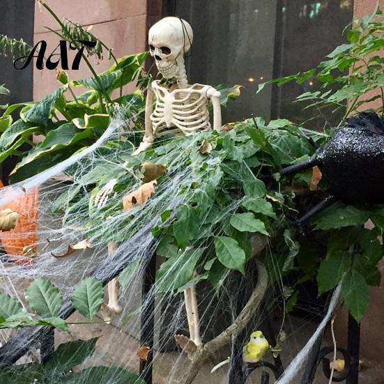Durable Skeleton Model for Cemetery Theme Halloween Decoration, 3Ft Life Size Full Body Human Bone, Realistic Posable Simulation Bone Structure Stage