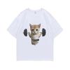 Funny Gym Sam Sulek Cat Graphic Print T-shirts Men Women Cute Fitness Pump Cover Tshirt Male Oversized Meme T Shirt Short Sleeve
