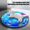 100cm Water Sensory Play Mat Thickened Inflatable Water Mat For Cat And Dog Pet Playmat With Sea Ocean Theme Sensory Water Pad