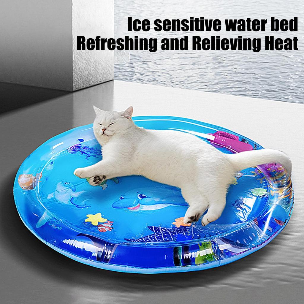 100cm Water Sensory Play Mat Thickened Inflatable Water Mat For Cat And Dog Pet Playmat With Sea Ocean Theme Sensory Water Pad