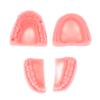 4 шт., стоматологическое моделирование, модель шва полости рта, обучающее оборудование для шва десен