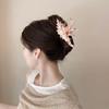 Акриловые заколки-крабы для волос в виде ракушек, корейские, преувеличенные, красочные, неправильной формы, для женщин и девочек, аксессуары для волос