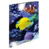 Herma Elasticated Glossy PP Folder A3 Animals (Fish)