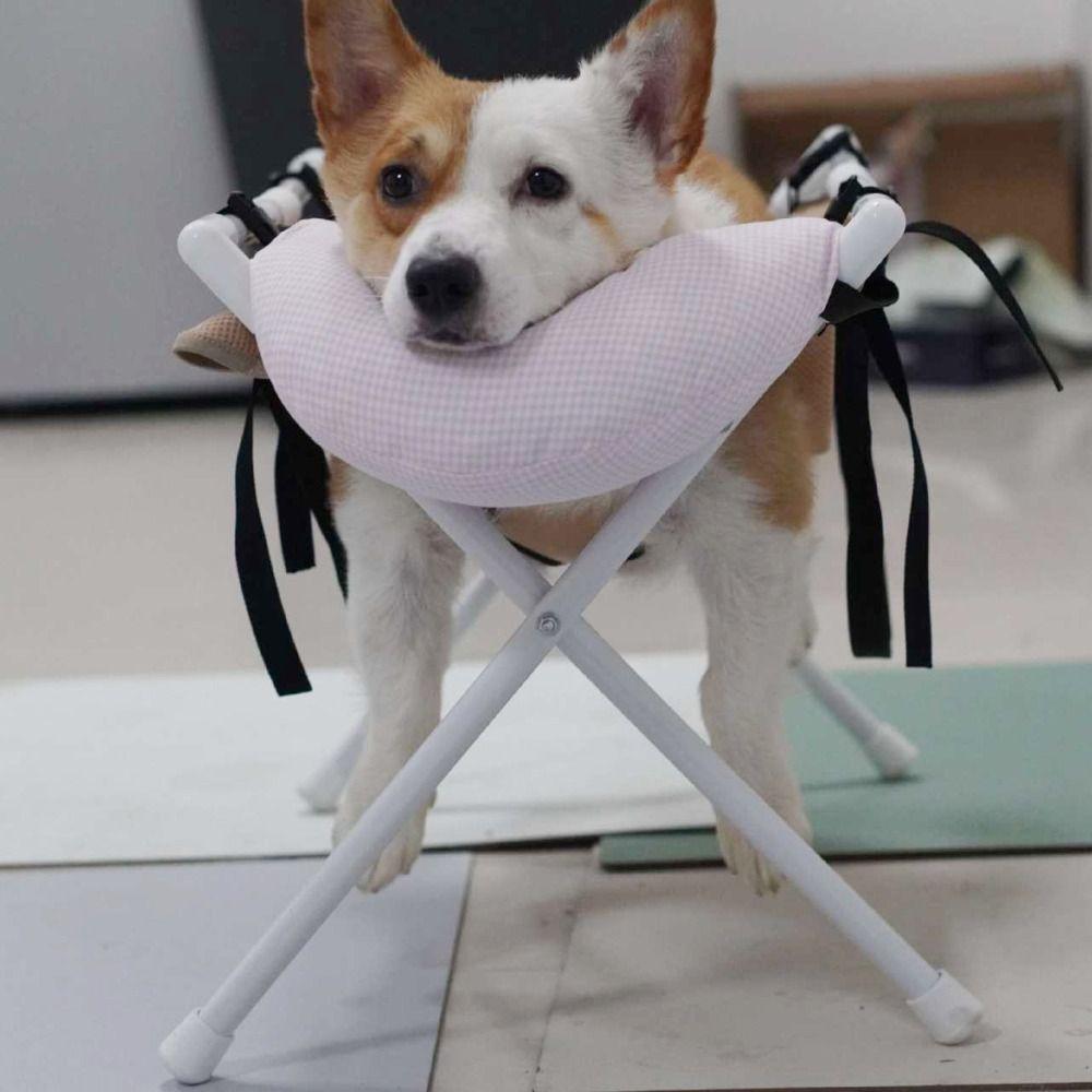 Folding Cat Bathing Rack Quick-Dry Mesh Anti-Bite Pet Grooming Hammock Detachable Stable Structure Pet Nail Clipping Holder