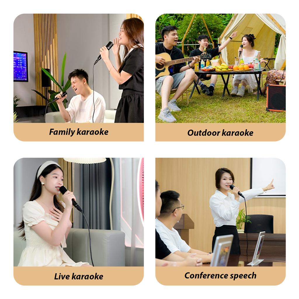 Takstar Ручной кардиоидный динамический вокальный микрофон, проводной микрофон XLR с выключателем питания и выключения