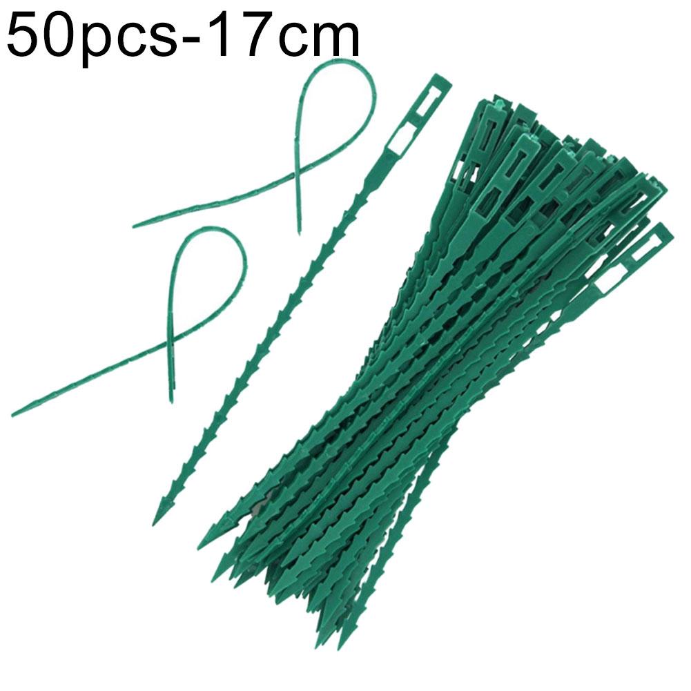 Хомут садовый для растений