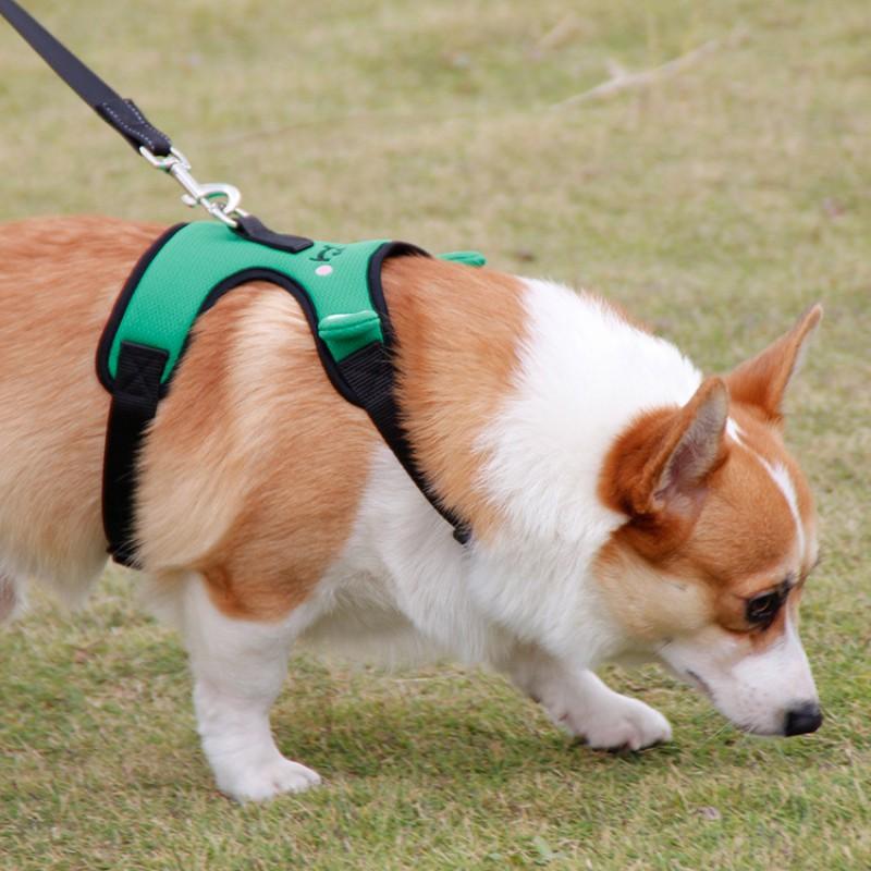 Adjustable Dog Harness With Leash Small Breeds Like Teddy Corgi - Frog Cow Design