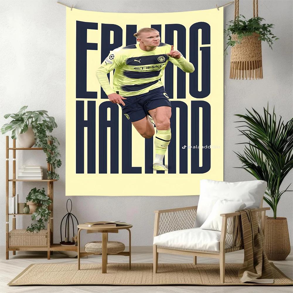 Haaland Theme Wall Decor Tapestry Art For Pet Memorial Birthdaywedding Party Backdrop Family Gift
