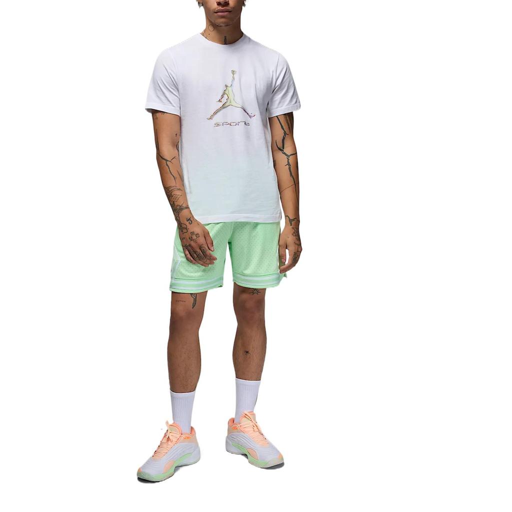 Jordan Sport Men's Dri FIT T Shirt HQ7984-100