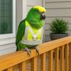 Safety Parrot Flying Harness Adjustable Bird Harness Vest Flight Training Rope  Flying Training