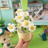 Scenery Model Dollhouse Plant Potted Doll Accessories Mini Floral Basket Miniature Greenery Bonsai