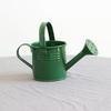 Kettle Ornament Drop-resistant Opening Design Creative Decorative Galvanized Iron Flower Planting Pot Watering Can Home Garden KTY
