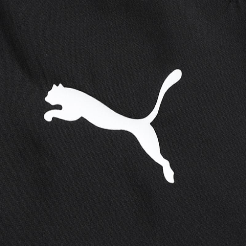 Puma Брюки Sideline Посадка