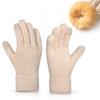 Warm Knitted Gloves Women Winter Riding Office Minimalist Cold Proof Double Layer Touchscreen Gloves
