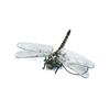 Jokes PVC 12cm Animal Model Dragonfly Action Figures Insects Model Dragonfly Model Animal Figures