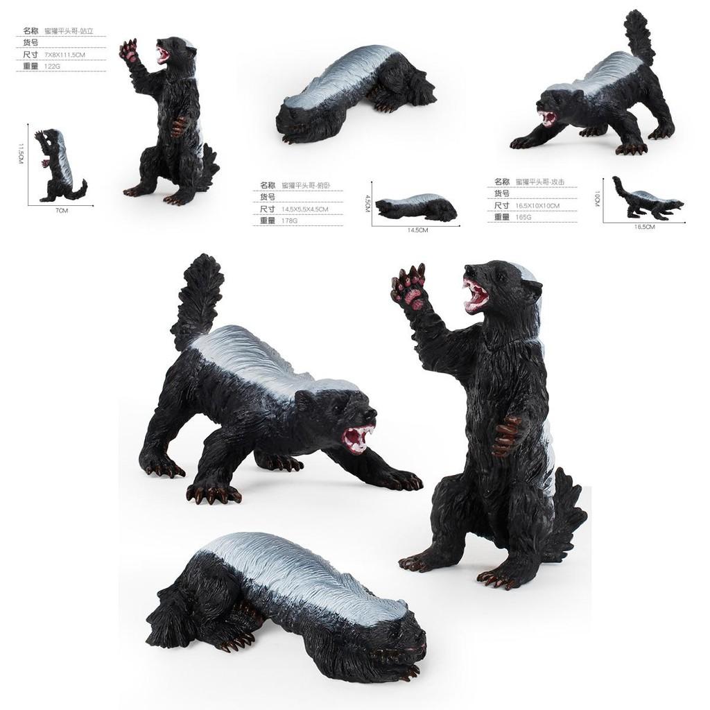 Captivating Pvc Honey Badger Figurine Perfect For Childrens Learning Toys And Room Decor