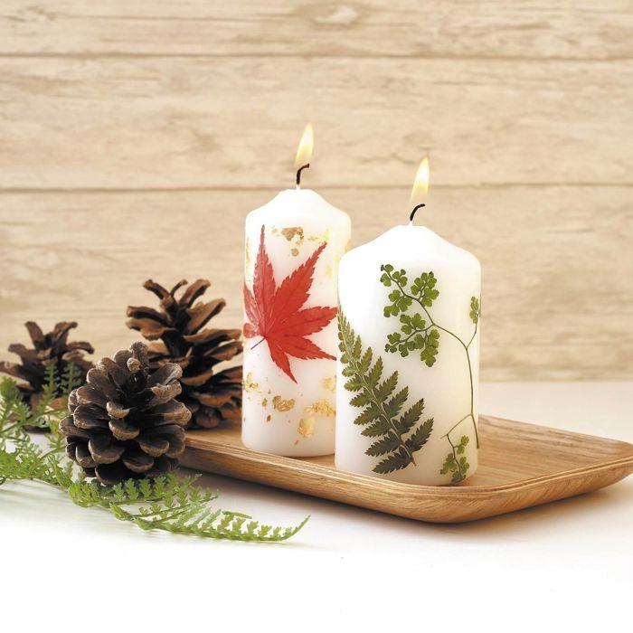 15 fleurs pressées - forêt 1