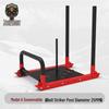 Triumphant Lion Gym Sled