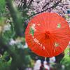 Chinese Classic Vintage Paper Umbrella Wedding Painted Dance Style Oil-Paper Chinese Umbrella P G2X9