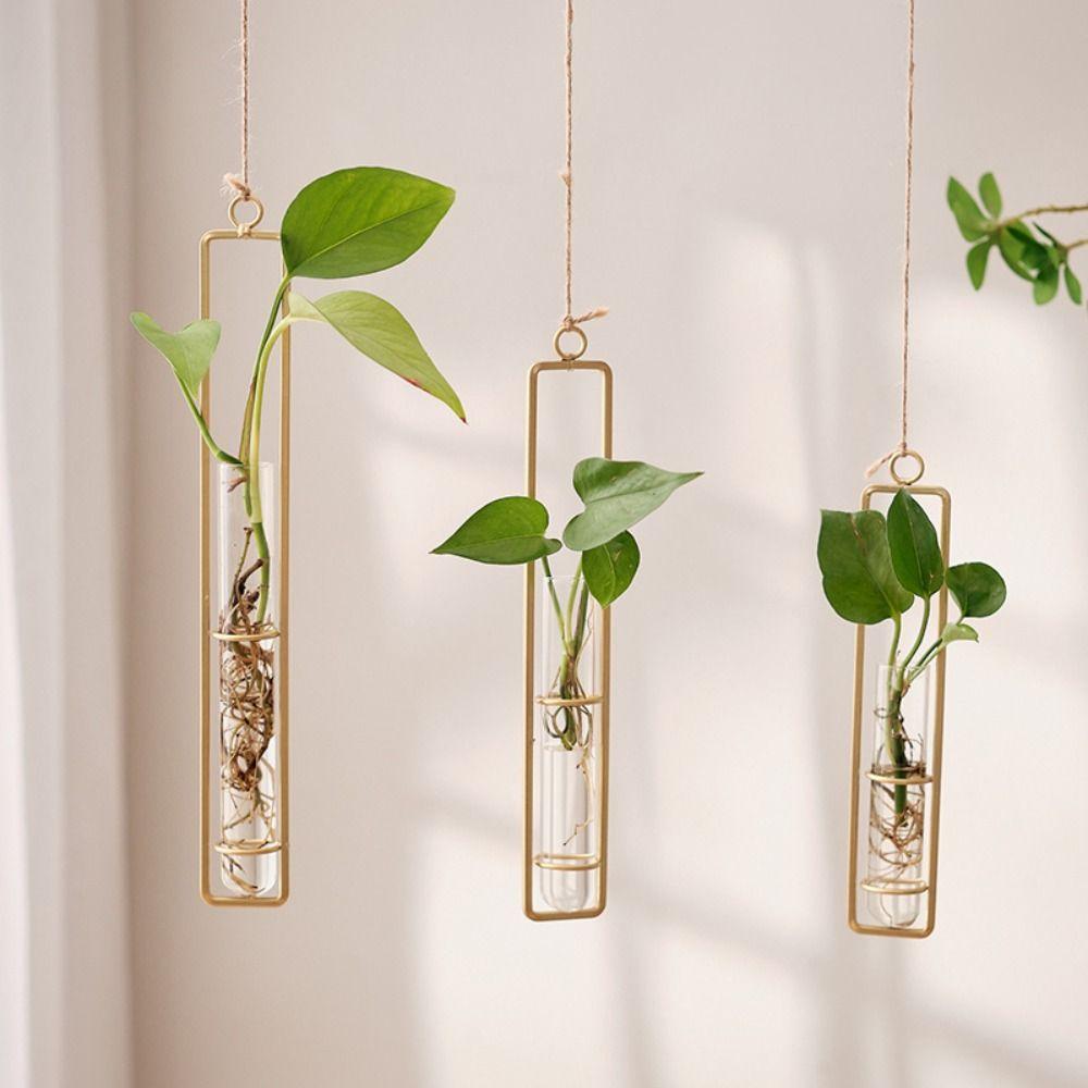 Thickened Hanging Glass Planter Wall Hanging Glass Vase Creative Test Tube Vases Home Decoration