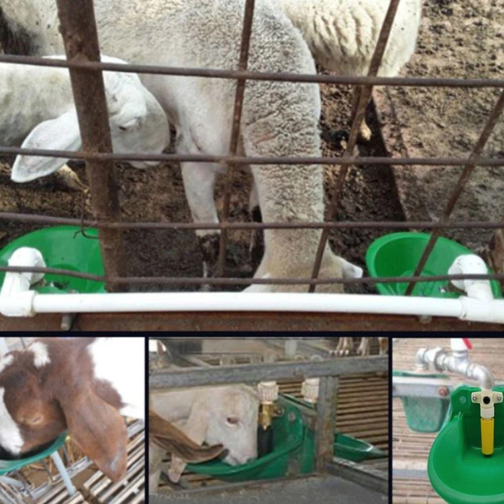 Float Control Sheep Water Bowl Green Water Trough Auto Drinker Animal Bowl Sheep Farm