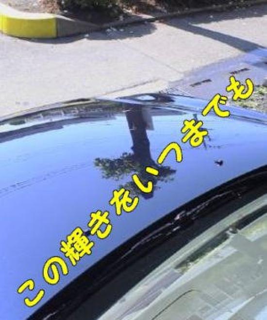 Средство для покрытия стекол кузова автомобиля Power GF Gold Label 30 мл