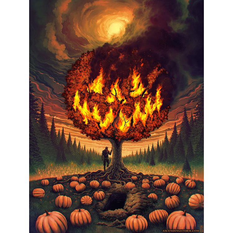 5d Алмазная картина Тыква Алмазная вышивка Животные Стразы ручной работы Домашний декор Подарок на День всех святых Рукоделие Вышивка крестом