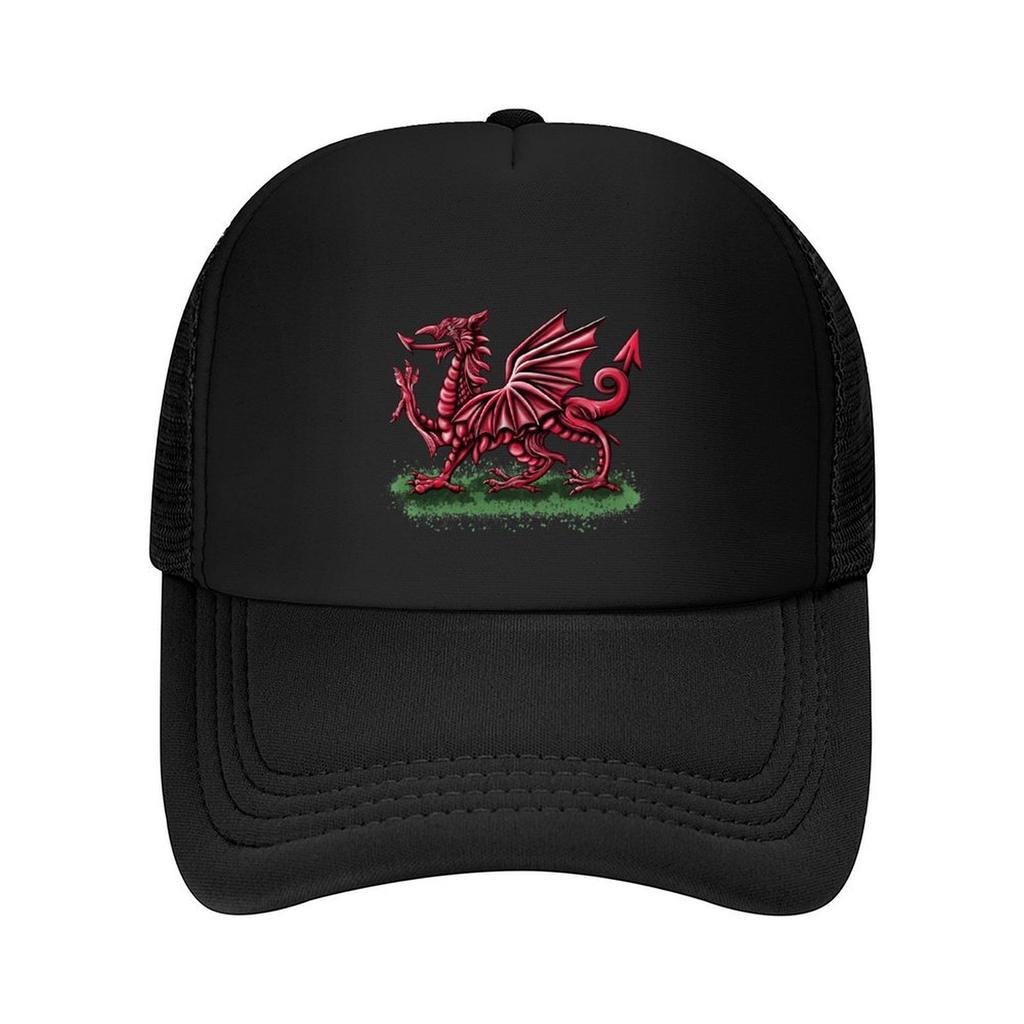Флаг Уэльса Дракон Бейсболка Панама Кепка для рейва dad hat Новинка в шляпе Мужские кепки Женские