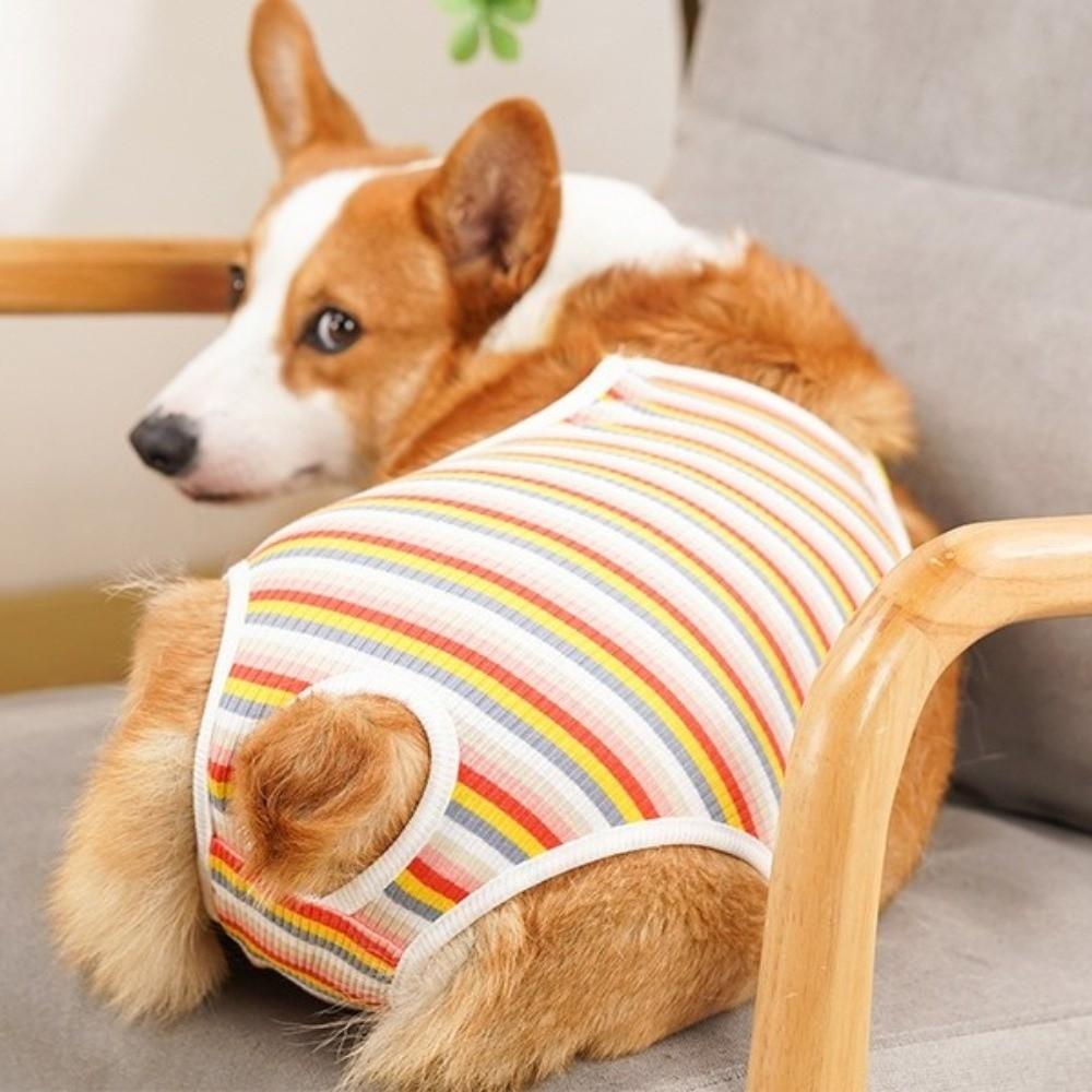 Breathable Female Dog Underwear Adjustable Straps Pet Safety Trousers  Outdoor Walk