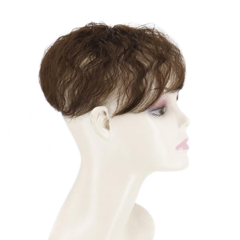 LISI HAIR Женские короткие вьющиеся волосы для наращивания волос из синтетического волокна, покрытие для седых волос и выпадения волос, натуральный черный, коричневый, светлый, для повседневного использования
