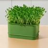 Seed Sprouts Tray Nursery Tray Saving Space Mini Greenhouse Germination Kits for Sprout Planting Container Green Growing Tray